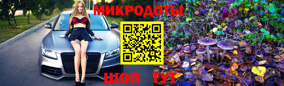 Галлюциногенные грибы MAGIC MUSHROOMS  Вход с VPN  Волоколамск 