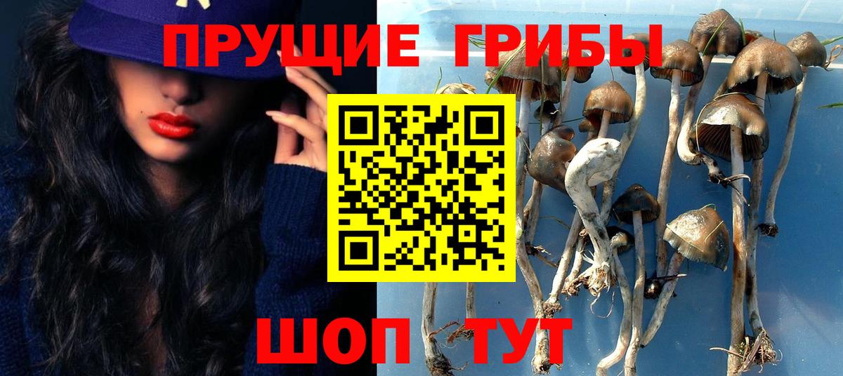 Псилоцибиновые грибы ЛСД Волоколамск